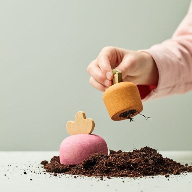 Potager en bois